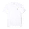 Camiseta Lacoste Masculina