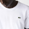 Camiseta Lacoste Masculina